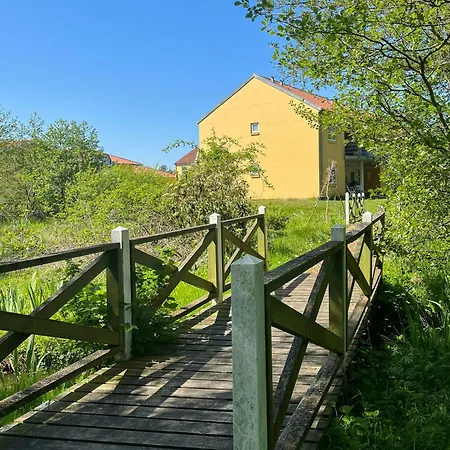 Colourful Flat Near And Nature Hals
