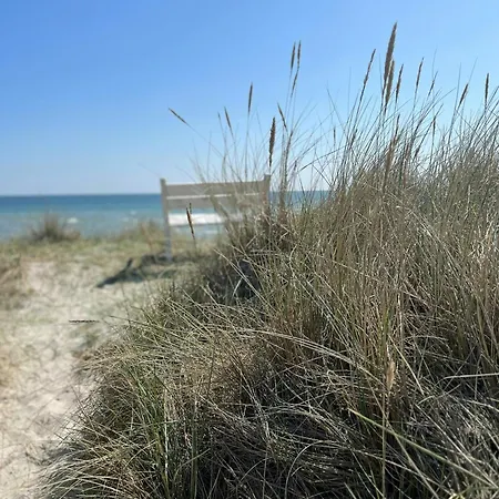 Colourful Flat Near And Nature * Hals