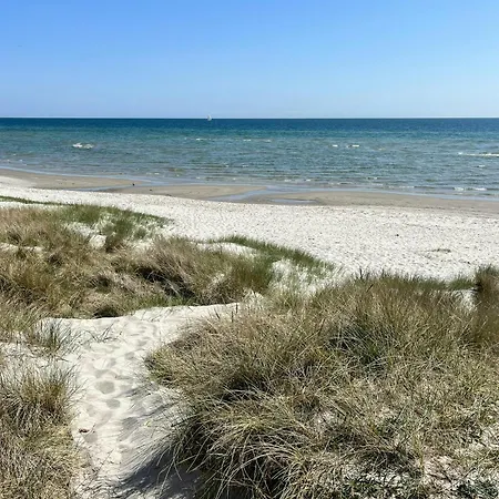 Colourful Flat Near And Nature * Hals