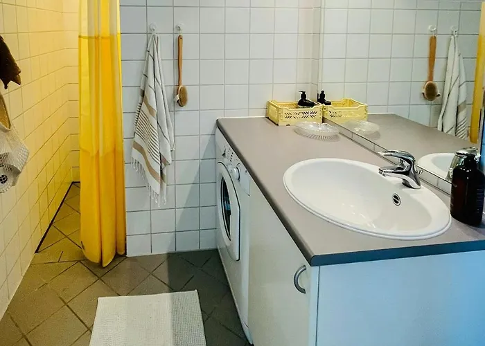 Colourful Flat Near And Nature *