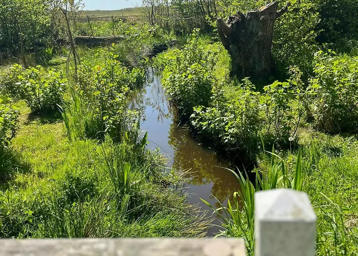 Colourful Flat Near And Nature Hals